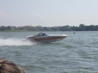 scarab8.jpg
