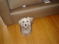 DSC01125.jpg