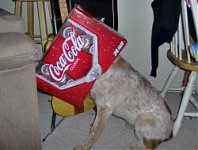Coke head.jpg