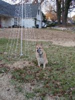 Shelbi 092.jpg