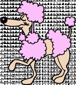 Poodle%20-%20Cartoon%201.gif