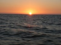 Dec 30, 09   Marco to Key West 030 [800x600].jpg