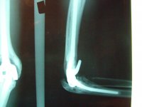 DSCF1023.jpg