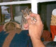 nuts_12_572x480.jpg