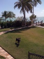 IMG_0061.JPG