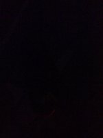 IMG_0197.jpg