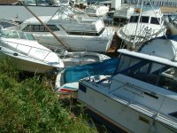 Boats.jpg