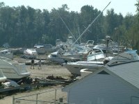 Boats 2.jpg