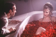 american beauty SPLASH.jpg