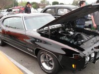 IMG_2441.jpg