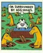 assholes surrounded.jpg
