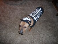 Halloween 2008 George 001.jpg