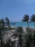 IMG_0446.jpg