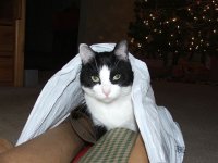 Christmas 2007 005.jpg
