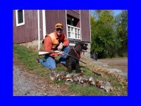 pheasants.jpg