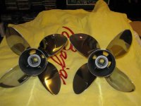 IMG_0077 (Small).JPG