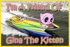 friends of gina 2.jpg