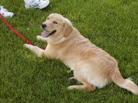 Molly1.jpg