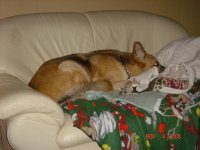 Shelbi 005.jpg