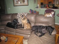 IMG_0883.jpg