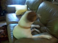 000_0024.jpg