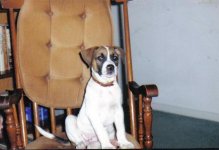 Bandit 3 months.JPG
