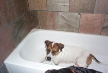 Bandit tub.jpg