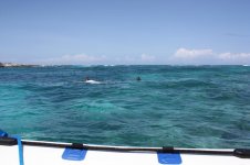 Poker runs, Muskoka Bt Show, Tuff, plus Bahamas 447 [Desktop Resolution].jpg