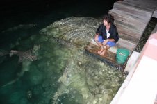 Bahamas May 2009 005 [Desktop Resolution].jpg