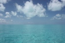 Bahamas May 2009 089 [Desktop Resolution].jpg