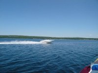 blue oval 001.jpg