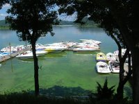 Picture 050 (Medium).jpg
