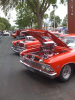 IMG_1068.jpg