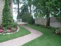summer garden 047.jpg