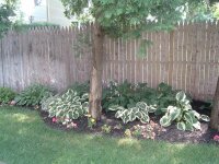 summer garden 024.jpg