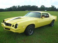 camaro78 005 (Medium).jpg