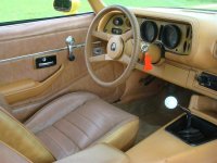 camaro78 010 (Medium).jpg
