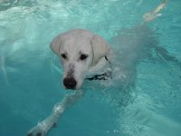 Marley-Flipper 013.jpg