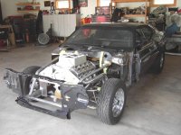 august 3, 2008 021[1].jpg