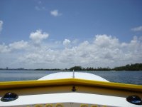 DSC01168.jpg