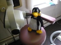 pengy dental 001.jpg