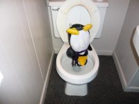 pengy swirly!.jpg