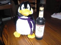 pengy evening 003.jpg