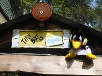 pengy bar trip! 009.jpg