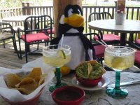 pengy bar trip! 006.jpg