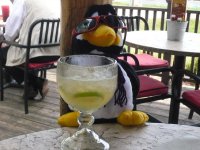 pengy bar trip! 007.jpg