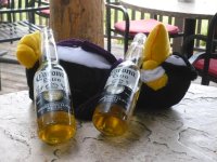 pengy bar trip! 004.jpg