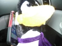 Pengy shop'n trip! 017.jpg