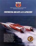 apache cat.jpg