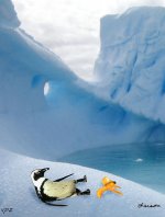 pengo.jpg